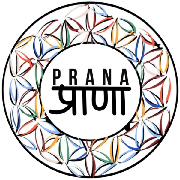 Prana Fuerteventura
Tu Oasis de Bienestar en Puerto del Rosario

Descubre una amplia gama de servicios diseñados para tu bienestar integral en Fuerteventura. Desde clases de Pilates y Yoga hasta terapias de masaje y mucho más, estamos aquí para ayudarte a encontrar equilibrio, relajación y vitalidad. Explora nuestros servicios y déjate llevar por la serenidad de nuestra isla mientras cuidas de tu cuerpo y mente.